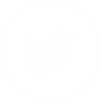 twitter-white